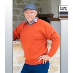 Pull homme senior PAULIN